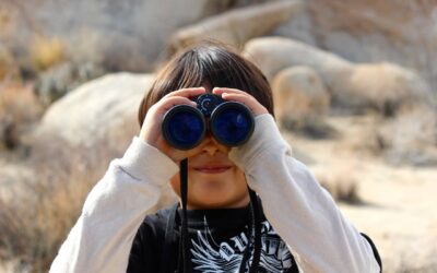 binoculars, child, magnification-100590.jpg