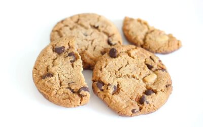 biscuit, cookie, chocolate-1832917.jpg