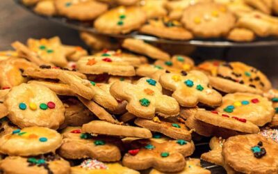 cookies, biscuits, treats