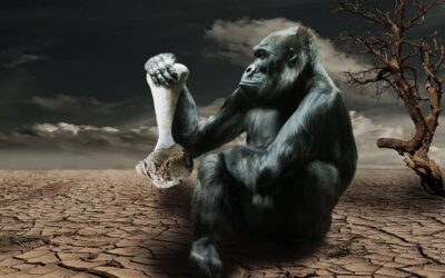 gorilla, hunger, environmental awareness-834251.jpg