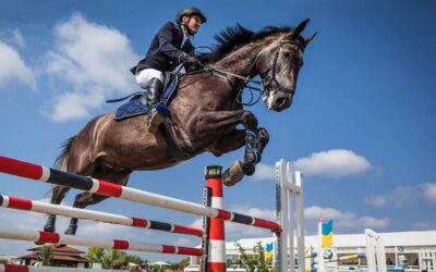 horse, rider, show jumping-2944967.jpg