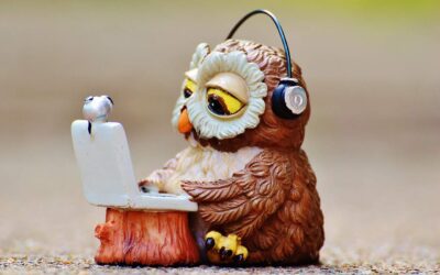 owl, computer, headphones-947734.jpg