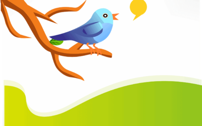tweet, twitter, bird-155281.jpg